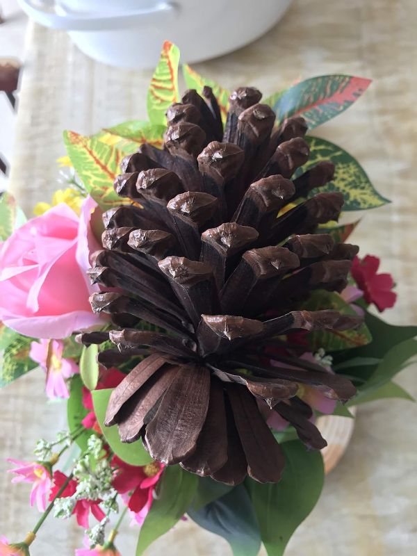 Photo 3 of PineCones Tall Bulk Package All Natural,Real Preserved Pine Cones Big Pinecones and Perfect Natural Pine Cones for Christmas Hanging Ornaments Bowl Vase Fillers (3-4.3 in(12pcs))
