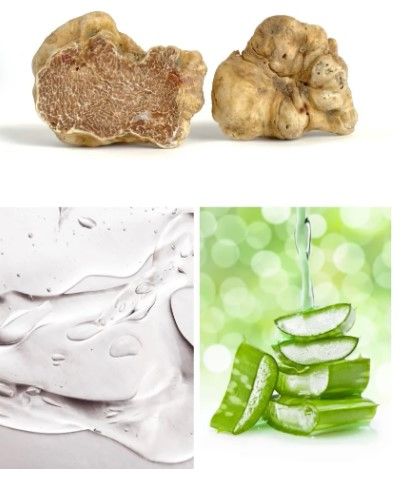 Photo 1 of White Truffle Facial Peel Exfoliates Renews and Revives Skin Decrease Hyperpigmentation Dead Skin Cells and Dull Appearance Rich Formula White Truffle Green Tea Bamboo Retinol Jojoba Vitamins C A and E New 