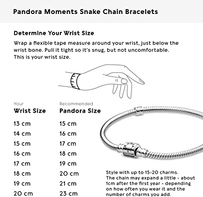 Photo 3 of PANDORA Moments Barrel Clasp Snake Chain Charm Bracelet