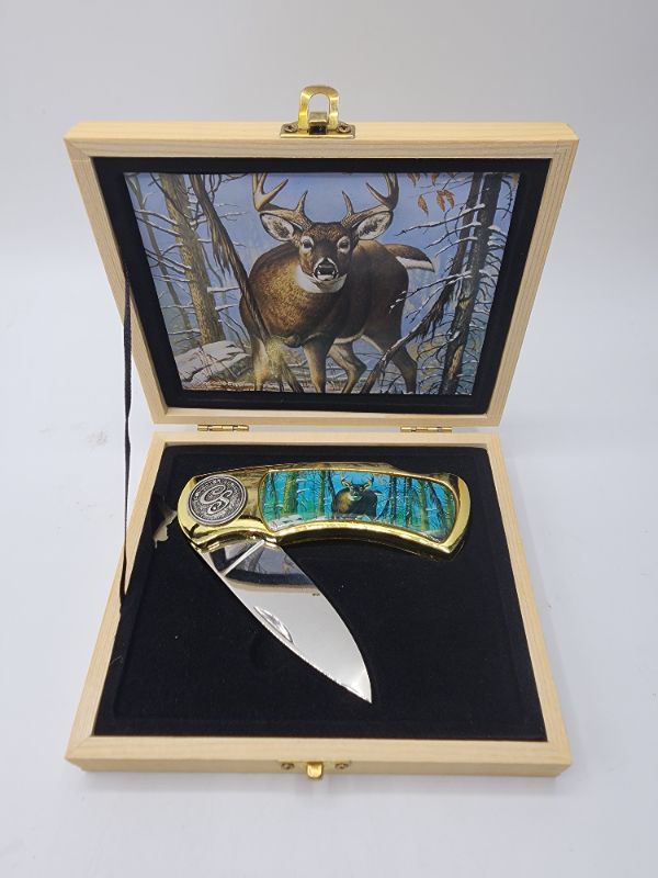 Photo 1 of Buck 4" Pocket Knife Gold Oak Gift Box 