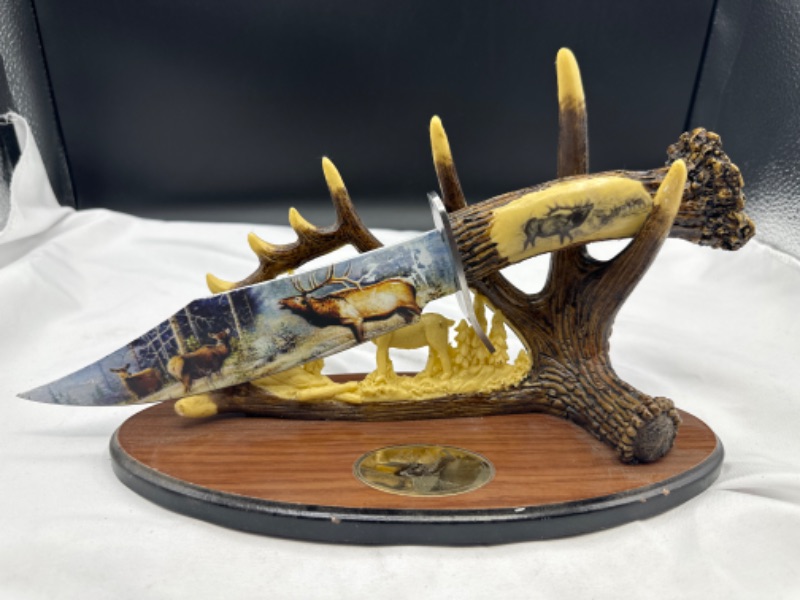 Photo 1 of Deer Knife With Antler Display 