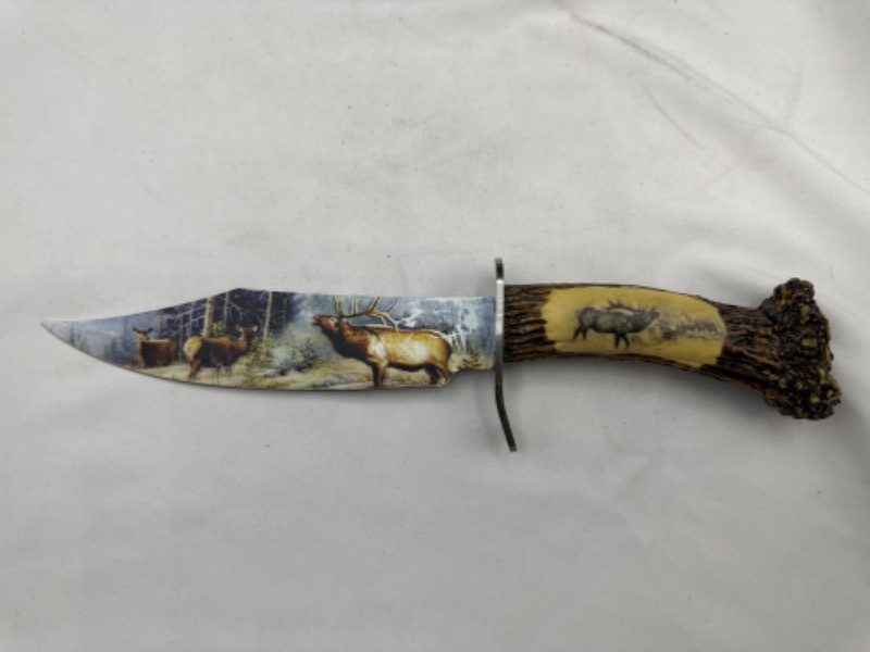 Photo 2 of Deer Knife With Antler Display 