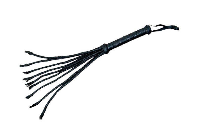 Photo 1 of Leather Whip Cat o Nine 21 inch Tails