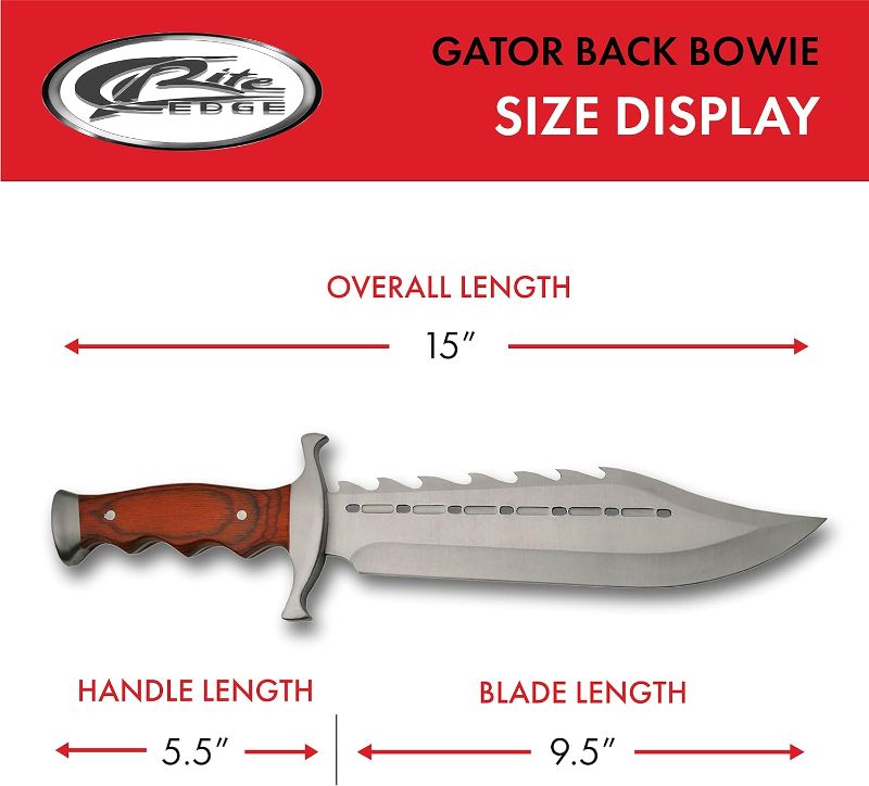 Photo 3 of 15" Gator Back Bowie Knife Stainless Steel Wood Handle with Sheath