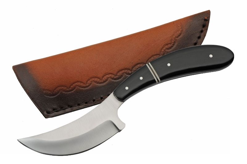 Photo 1 of 8" Birdwing Horn Skinn Knife