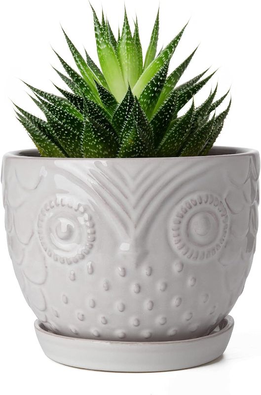 Photo 1 of Greenaholics Owl Planters Ceramic Animal Plant Pots- 6.1 Inch White Succulents Aloe Planter Indoor Large Animal Flower Pots with Attached Tray and Drainage Hole for Cactus Snake Plant Decorative Gifts