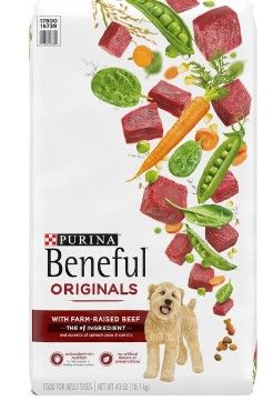 Photo 1 of Purina Adult Beef Food