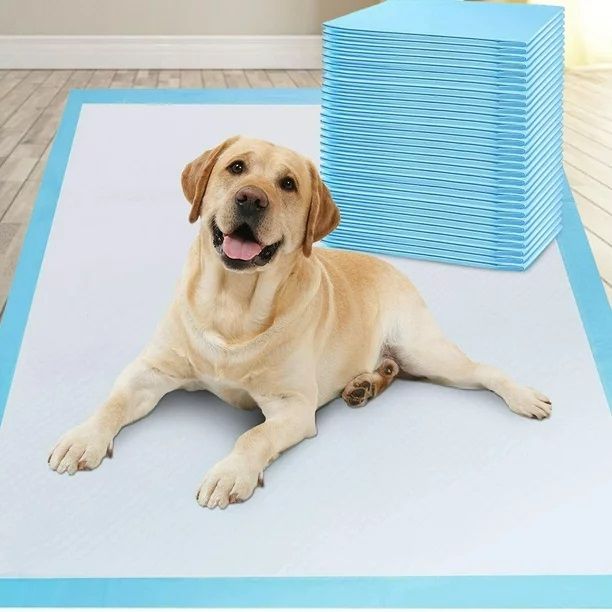 Photo 1 of PAW DAY 20 Pcs Pet Training Pads Leak-Proof and Super Absorbent Dog Pee Pads, Disposable Fast Drying Pee Mats for Dogs, Cats, Rabbits Pets (Size, XL)
