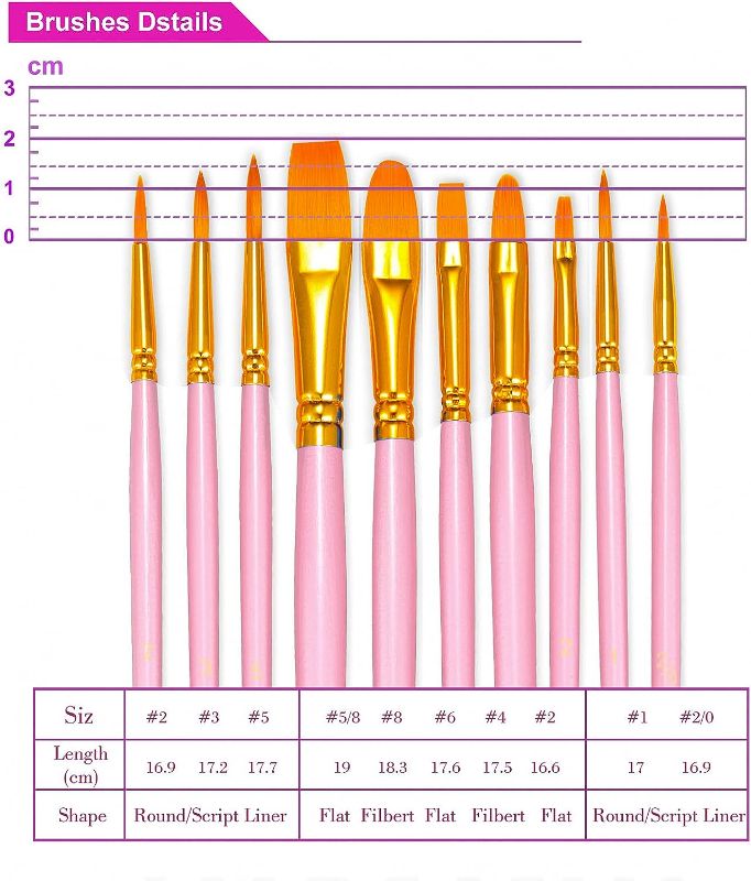 Photo 1 of OSOBO Paint Brushes Set, 10 Pieces Round Pointed Tip Paintbrushes Nylon Hair Artist Acrylic Paint Brushes for Acrylic Oil Watercolor, Face Nail Body Art