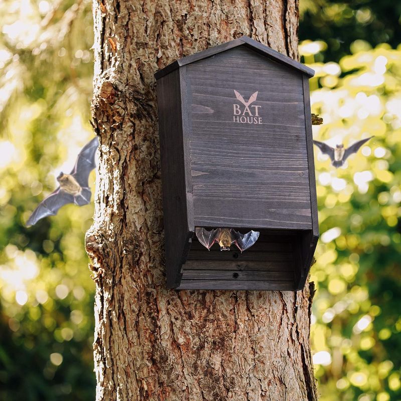 Photo 3 of The Ultimate Wooden Bat House for Outdoors - A Large Double Chamber Box Perfectly Designed to Attract Bats - Durable and Easy to Hang
