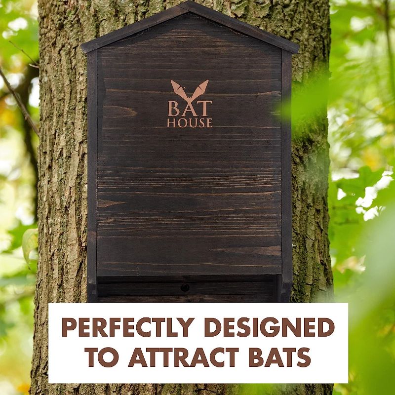 Photo 2 of The Ultimate Wooden Bat House for Outdoors - A Large Double Chamber Box Perfectly Designed to Attract Bats - Durable and Easy to Hang
