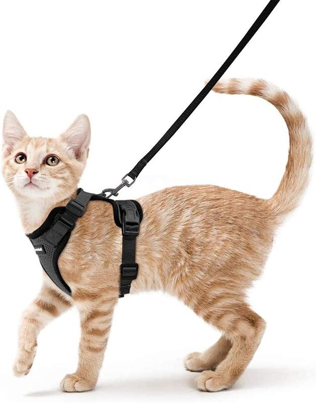 Photo 1 of RABBITGOO- Cat Harness and Leash for Walking, Escape Proof Soft Adjustable Vest Harnesses for Cats, Easy Control Breathable Reflective Strips Jacket, Black, XS
