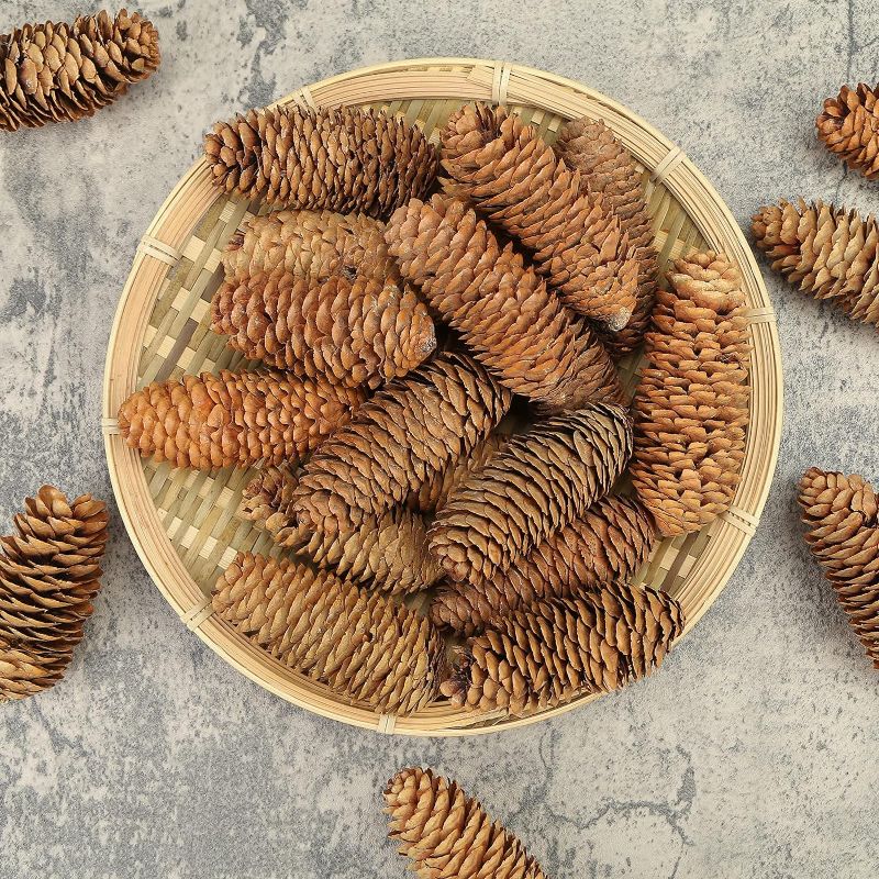 Photo 3 of Pine Cones Set Fall and Winter Décor Each is Approximately 3"- 6" Long
