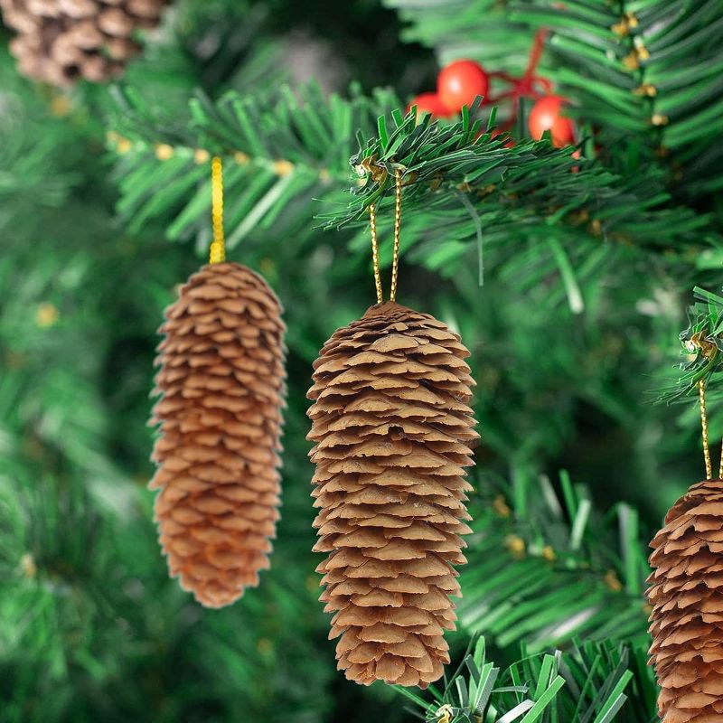 Photo 2 of Pine Cones Set Fall and Winter Décor Each is Approximately 3"- 6" Long
