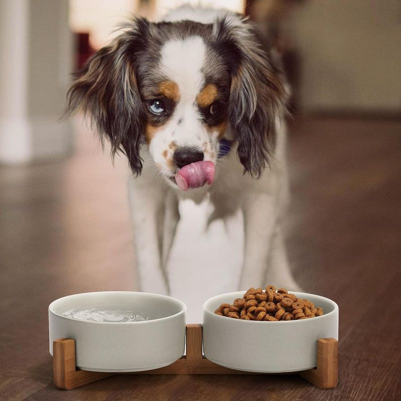 Photo 3 of SPUNKYJUNKY Ceramic Dog and Cat Bowl with Wood Stand Non-Slip Matte Glaze Weighted Food Water Set for Cats &Small Dogs 13.5OZ

