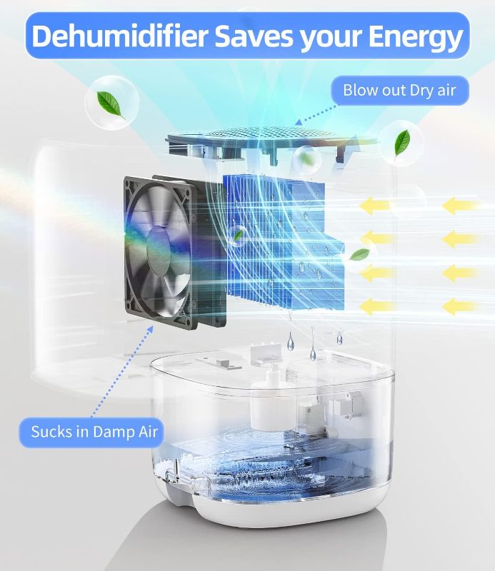 Photo 3 of Dehumidifier,TABYIK 35 OZ Small Dehumidifiers for Room for Home, Quiet with Auto Shut Off, Dehumidifiers for Bedroom (280 sq. ft), Bathroom, RV, Closet

