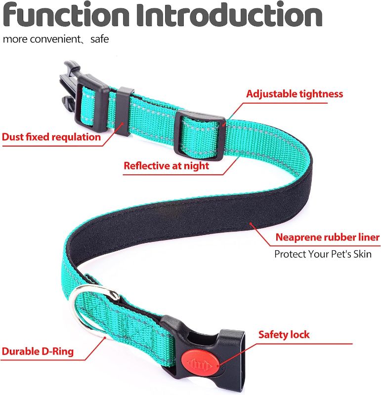 Photo 2 of JOYTALE- Grepad Polyester Dog Collars for Medium Dogs Female Male,Durable Comfortable Padded Basic Dog Collars for Puppy Small Extra Large Breed with Quick Release Safety Buckle for Dog Boy Girl,Lake Green,M
