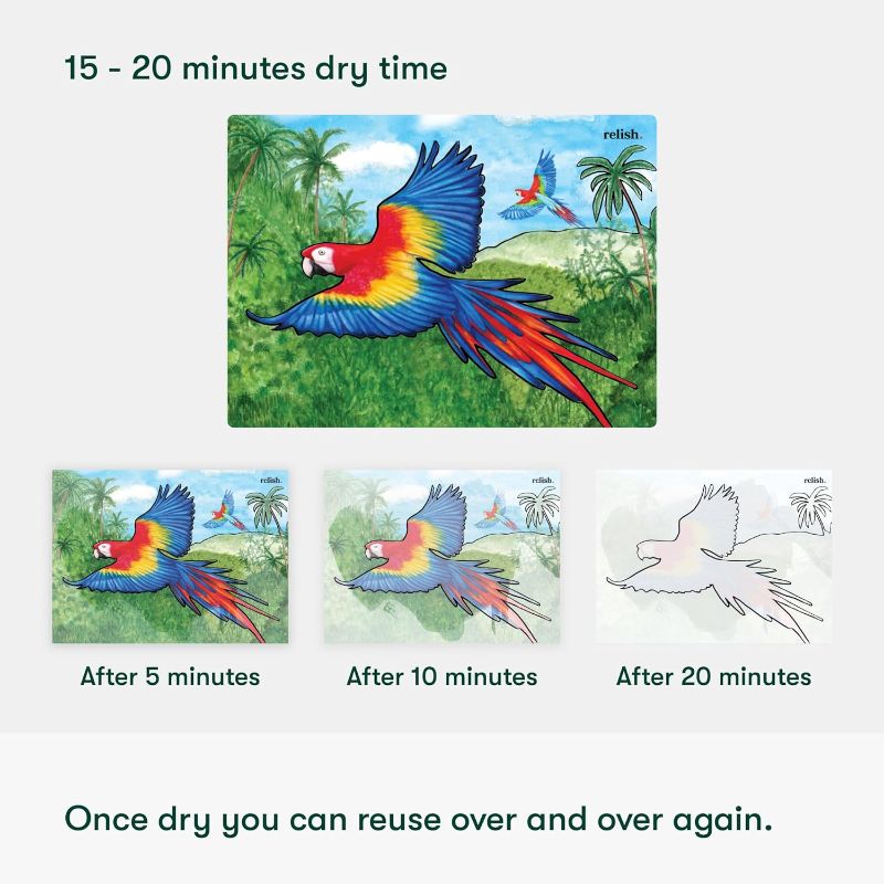 Photo 2 of Relish Magnificent Birds Aquapaints - Pack of 5 Reusable Water Painting Activities, Products