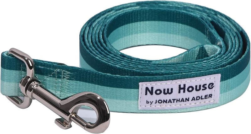 Photo 3 of Now House for Pets by Jonathan Adler Now House Green Chroma Standard Lead 6' | Stylish and Functional Way to Keep Your Dog Looking Great, wood box and storages, book, a cat story 