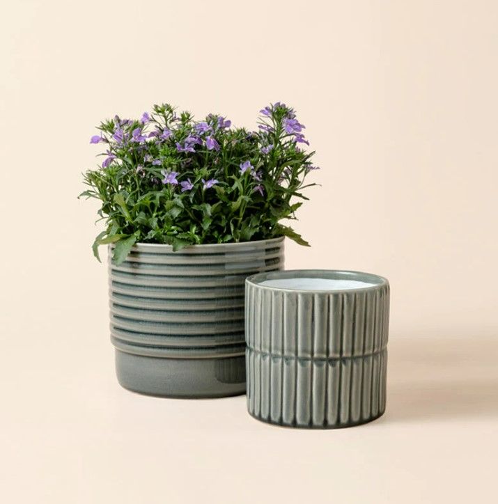 Photo 1 of LA JOLIE MUSE Ceramic Plant Pots Indoor Flower Pot Set of 2, 6.5 Inch Small Ring Home Decor Gift Plants Planter, Slate Gray