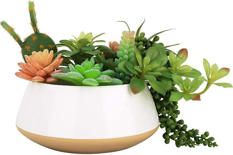 Photo 1 of LA JOLIE MUSE Large Succulent Planter Plant Pots, Ceramic Indoor Outdoor Garden Pot With Drainage For Plant Flower, 8 Inch, Sandy Beige & White