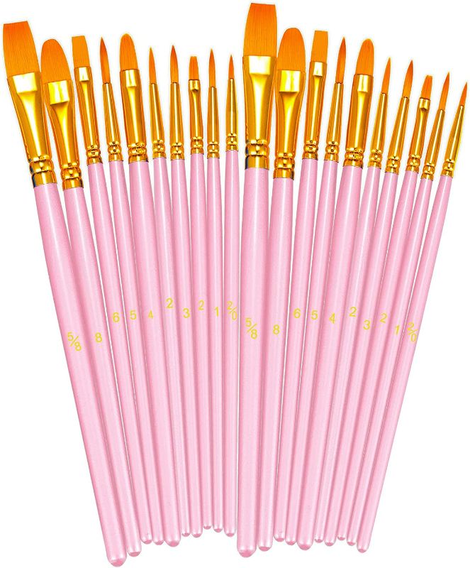 Photo 1 of BOSOBO Paint Brushes Set, 2 Pack 20 Pcs Round Pointed Tip Paintbrushes Nylon Hair Artist Acrylic Paint Brushes for Acrylic Oil Watercolor, Face Nail Art, Miniature Detailing & Rock Painting, Pink