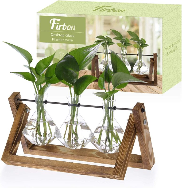 Photo 1 of Firbon Plant Propagation Station, 3 Diamond Glass Planter Bulb Vase, Desktop Air Plant Terrarium with Solid Wooden Stand for Hydroponics Plants Home Office Garden Decor