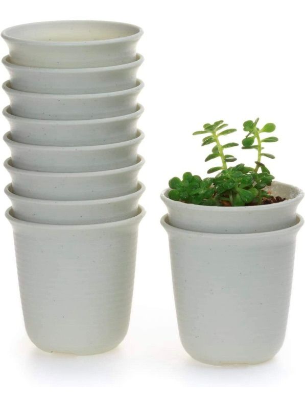 Photo 2 of Plastic Round Succulent Plant Pot, Cactus Pots Nursery Flower Pots with Pallet - Set of 12