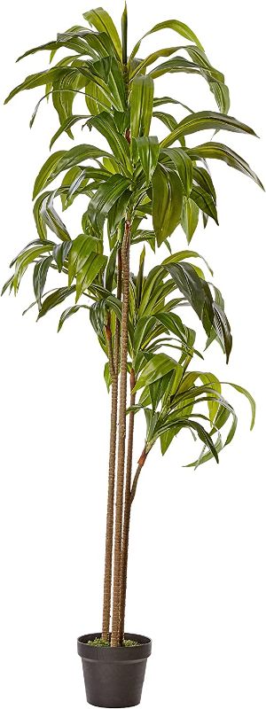 Photo 1 of Nearly Natural 5ft Dracaena Silk Plant (Real Touch),Green