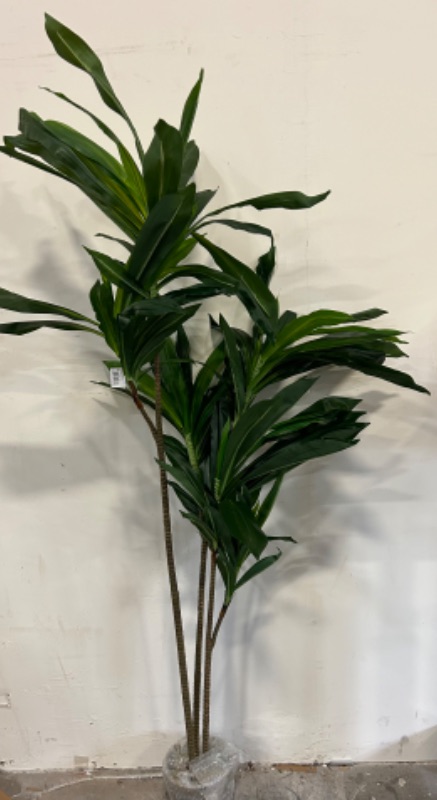 Photo 3 of Nearly Natural 5ft Dracaena Silk Plant (Real Touch),Green