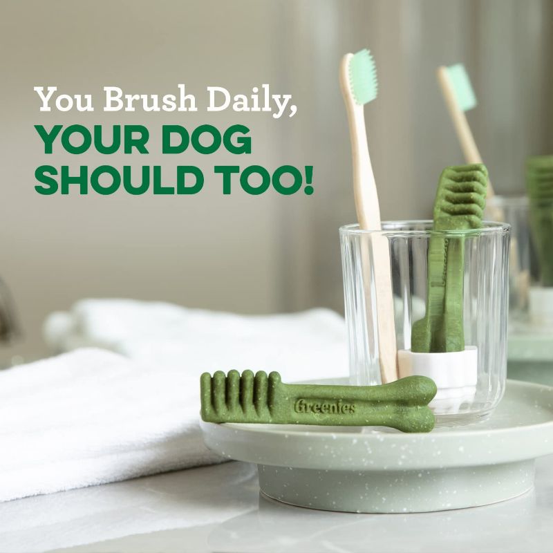Photo 6 of Greenies Petite Natural Dog Dental Care Chews Oral Health Dog Treats, Pumpkin Spice Flavor, 12 oz. (20 Treats)