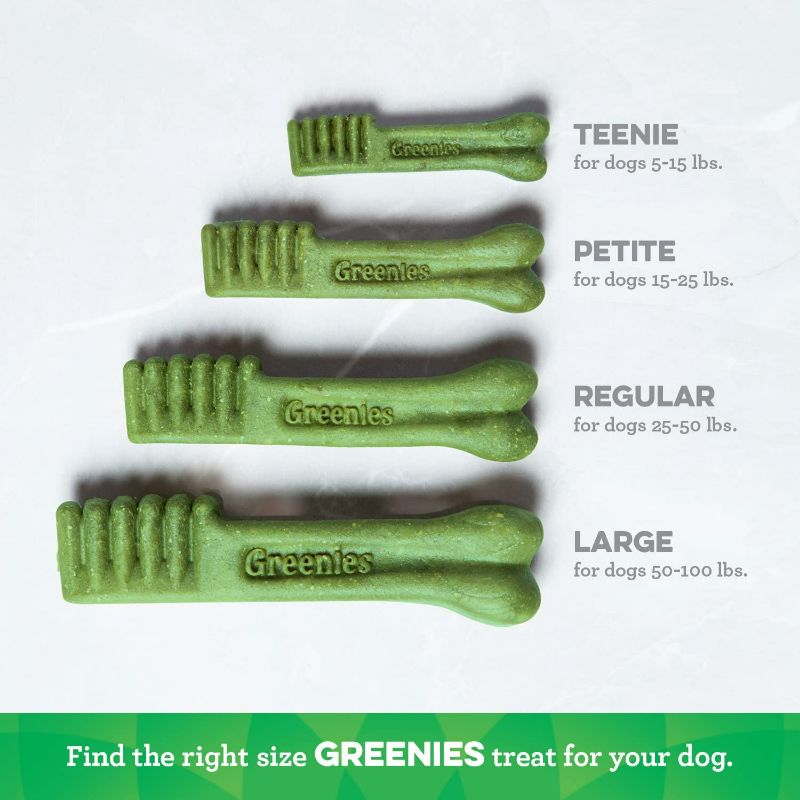 Photo 5 of Greenies Petite Natural Dog Dental Care Chews Oral Health Dog Treats, Pumpkin Spice Flavor, 12 oz. (20 Treats)