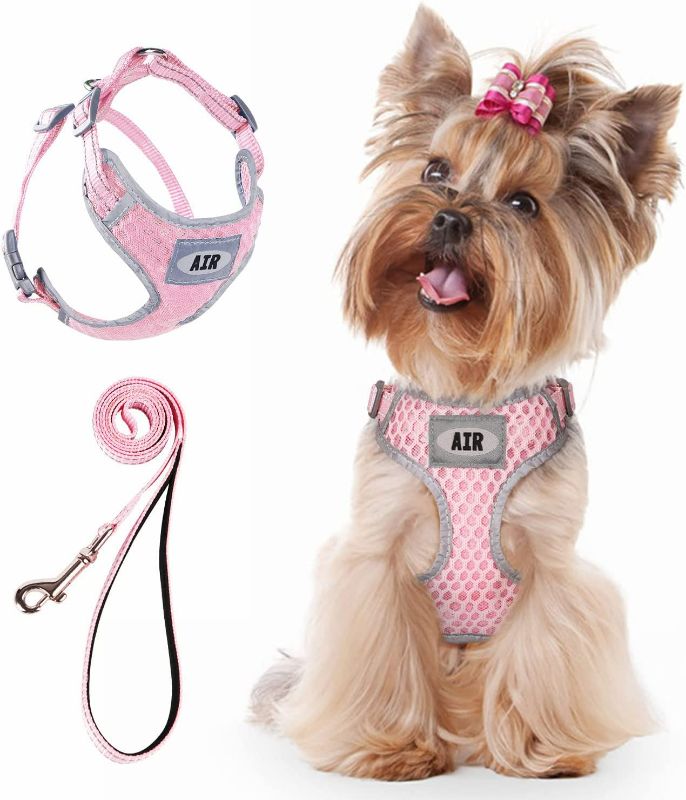 Photo 1 of AIR Dog Harness Leash Set, Puppy Leash Harness, No-Choke Dog Harness, Mesh Dog Harness, Comfortable Dog Harness, Plus 4 ft Reflective Dog Leash with Padded Handle, Large, (Hot Pink)