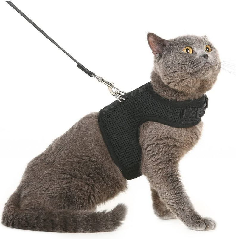 Photo 1 of  Soft Mesh Cat Vest Harness and Leash Set Puppy Padded Pet Harnesses Escape Proof for Cats Small Dogs Rabbits Bunny, Black LARGE . HAS GREY AS WELL LOOK AT PHOTO.

