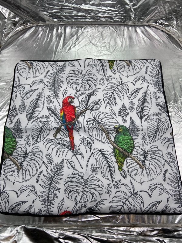 Photo 2 of 2-pcs bird throw pillow cases 18x18

















































































































































































































2-pcs bird