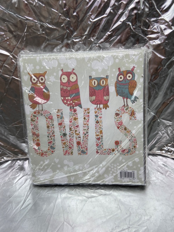 Photo 1 of  2pcs 1'' Owl ring binder 