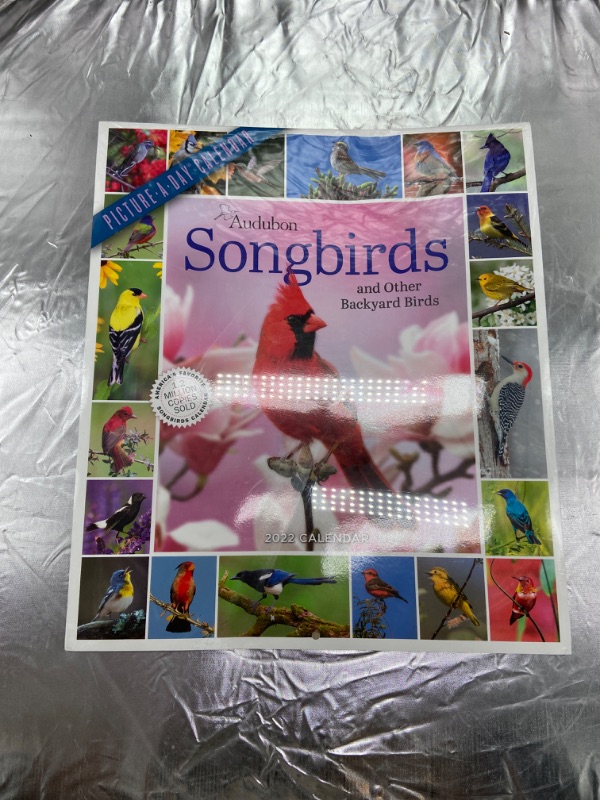 Photo 2 of Audubon Songbirds and Other Backyard Birds Picture-A-Day Wall Calendar 2022: Your Daily Sighting of Songsters that Bring Color, Joy, and Sweet Melodies.