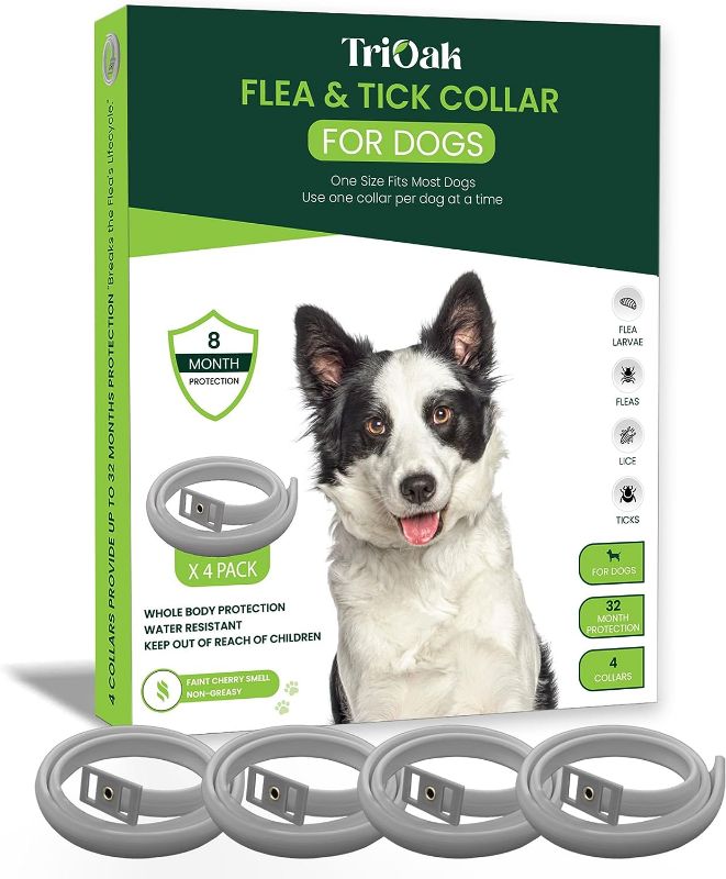 Photo 1 of 4 Pack Flea and Tick Collar for Dogs, 8-Month Protection Flea Collar for Dogs, Flea Tick Collar for Dogs, Dog Flea and Tick Collar -Grey
