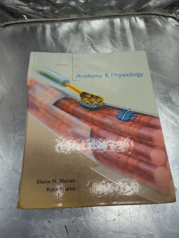 Photo 2 of Anatomy & Physiology, 4th Edition 4th Edition