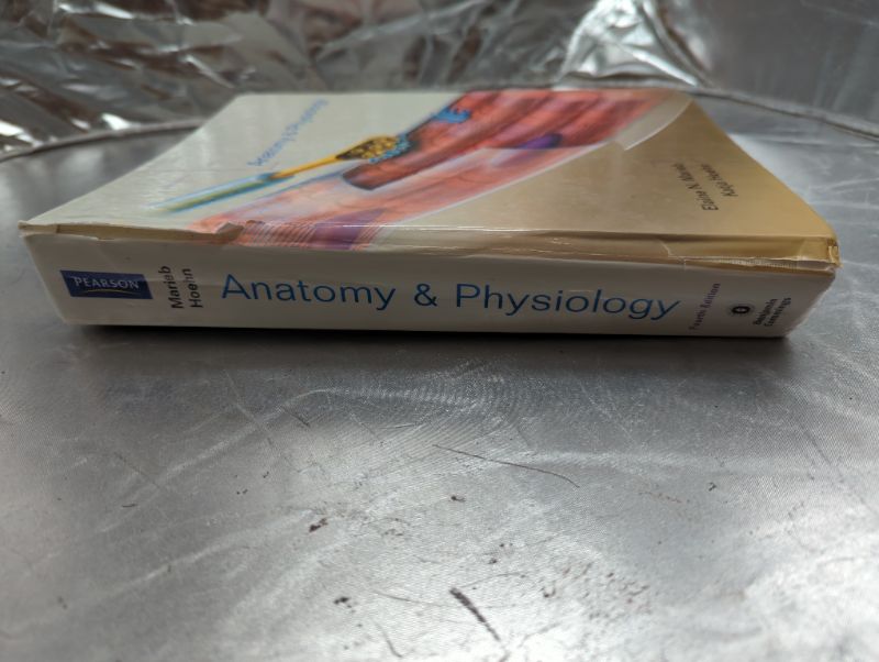 Photo 3 of Anatomy & Physiology, 4th Edition 4th Edition