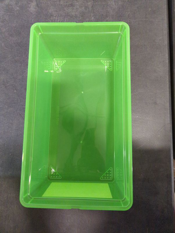 Photo 3 of 3 Pack - Glad Storage Box 6L w/Lid - Green