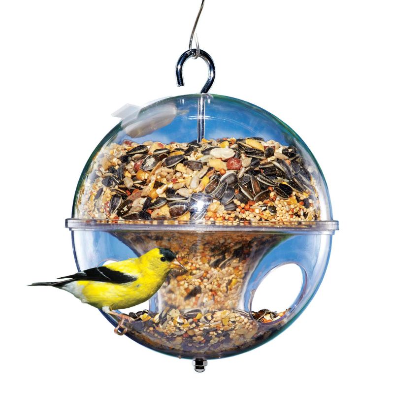 Photo 1 of Specially-Designed Hanging Small Bird Globe Shape Bird Feeder