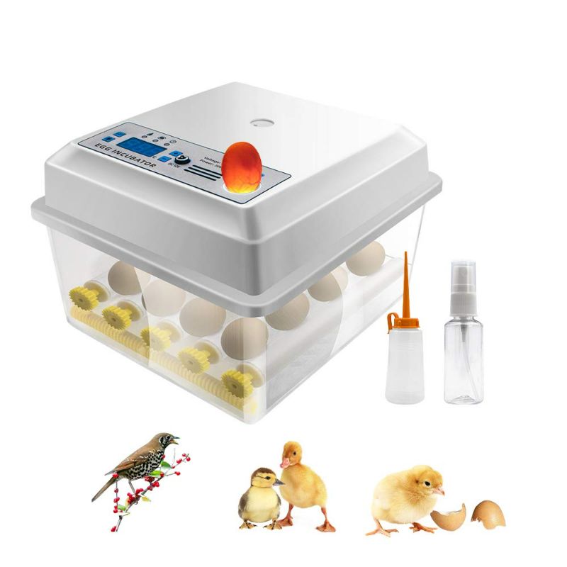 Photo 1 of Egg Incubator for Hatching Eggs-16 Eggs Digital Mini Incubator with Automatic Turner and Egg Candler Tester for Hatching Chicken Duck Quail Bird Eggs by Safego