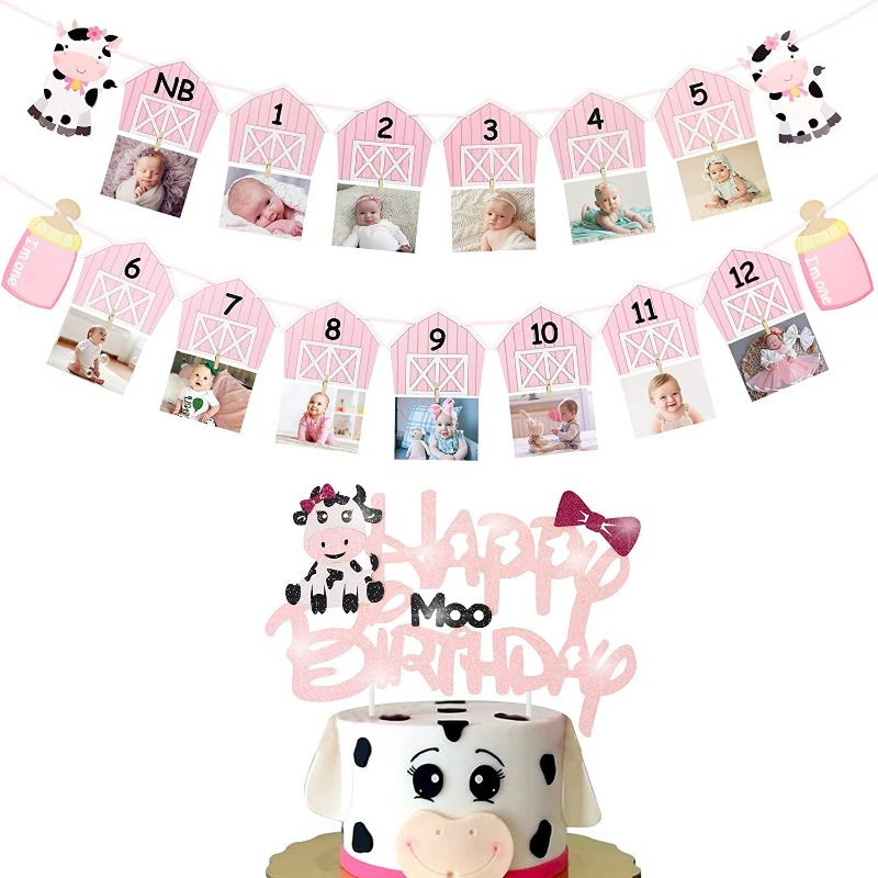 Photo 1 of Cow 1st Birthday Party Decoration Pink Cow 1st Birthday Photo Banner for Newborn to 12 Months, Happy Birthday Cake Topper for Baby Girls