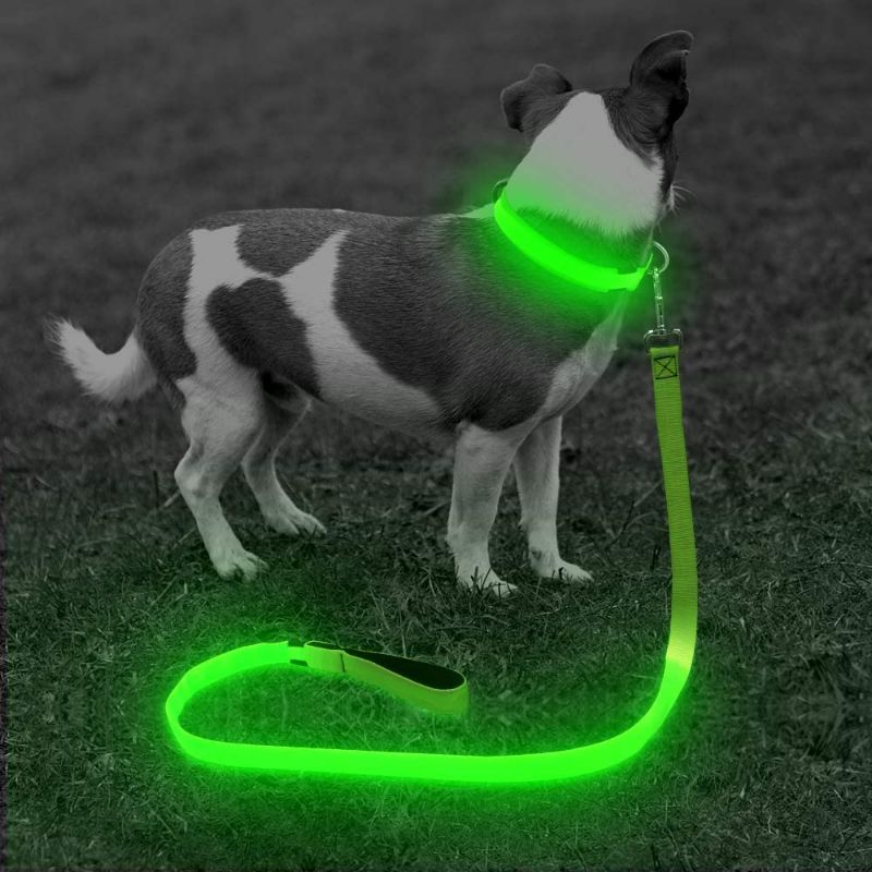 Photo 1 of BSEEN LED Dog Leash - USB Rechargeable 47.2 inch 120 cm Reflective Night Safety Pet Leash LED Strip to Keep You and Your Dog Safe…