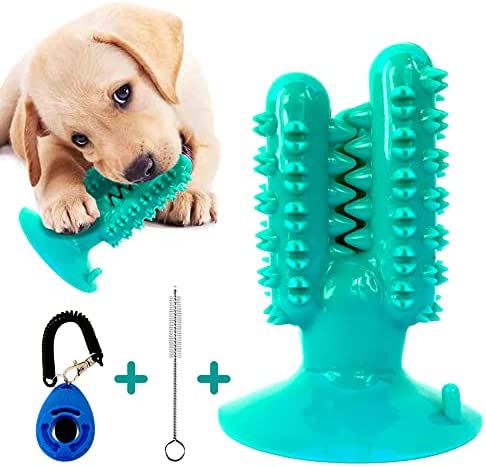 Photo 1 of Shasoly Dog Toothbrush Chew Toy - Small Medium Breed Deep, Cleaning Dog Toothbrush Toy to Protect Dental Health|Bundled|with Toothbrush and|Bonus|Clicker for Training - Dog Dental Toy