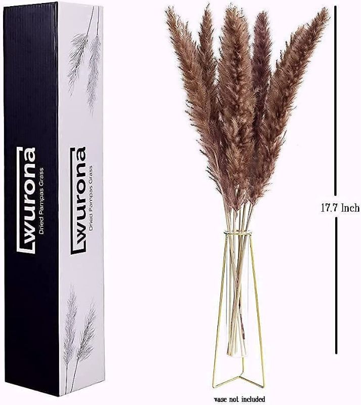 Photo 2 of Wurona Natural Dried Pampas Grass Decor Tall - 30pcs Dried Flowers 18inch Vases. Boho Flowers Pampas Grass Vase. Pompous Grass Vase Fillers Dried Flowers Arrangements, 17.7 Inch (DPG30P45cm)