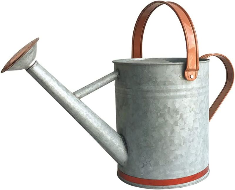 Photo 1 of Metal Watering Can for Outdoor and Indoor Plants, Watering Can Decor, 1 Gallon (1 Gallon Sliver2)