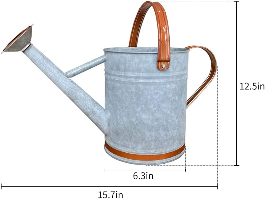 Photo 2 of Metal Watering Can for Outdoor and Indoor Plants, Watering Can Decor, 1 Gallon (1 Gallon Sliver2)
