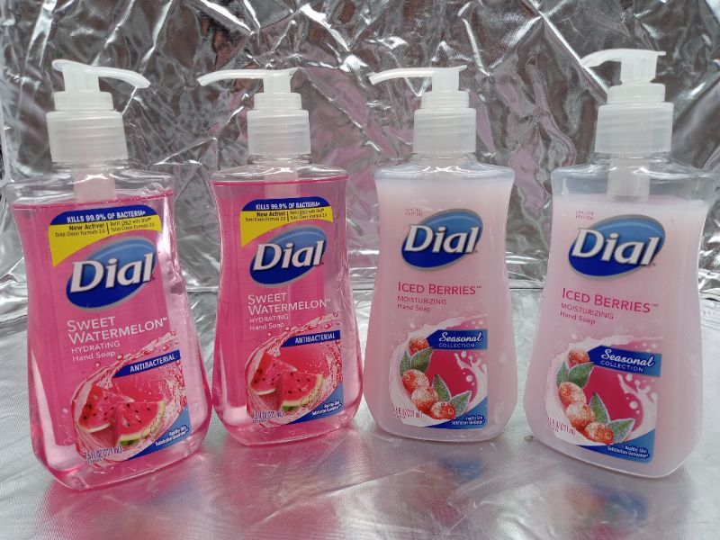 Photo 1 of (4 Count) Dial Liquid Hand Soap Bundle: Seasonal Collection Garden Blooms with Moisturizer | Antibacterial Liquid Hand Soap Sweet Watermelon - 7.5 fl oz